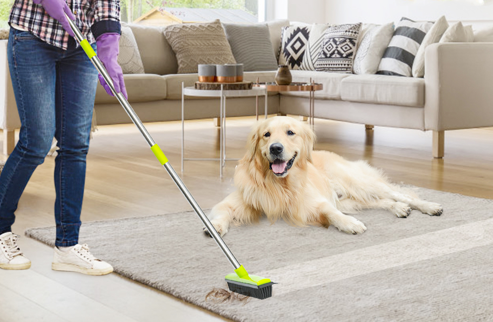 Carpet Rake