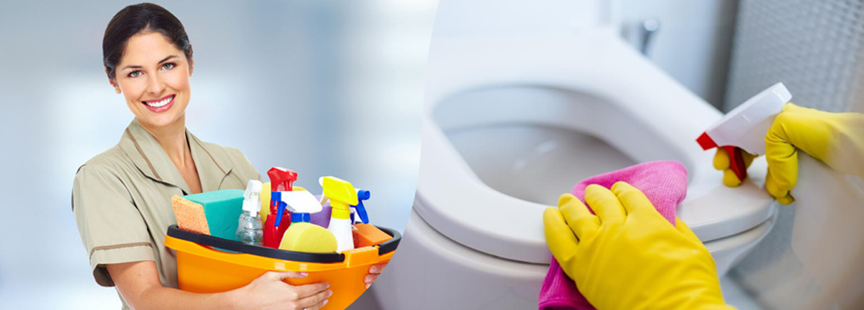 Remove Toilet Bowl Stains Instantly