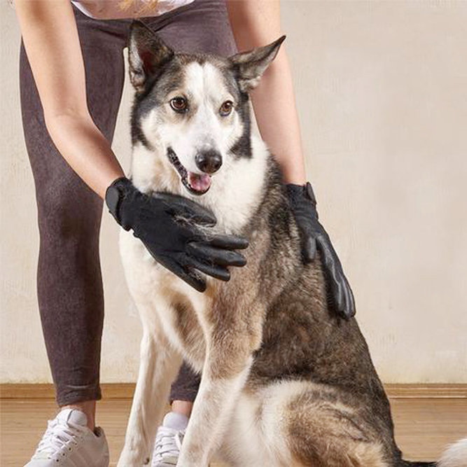 Deshedding Glove
