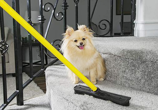 Pet Hair Removal Broom